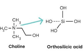 Biosil ch-OSA